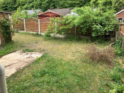 garden 1