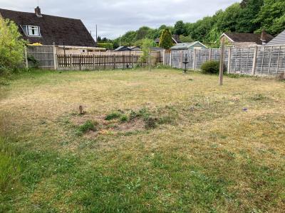 garden 2