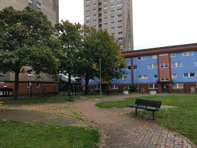 Communal Garden