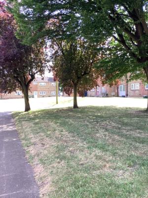 Rear communal Gardens