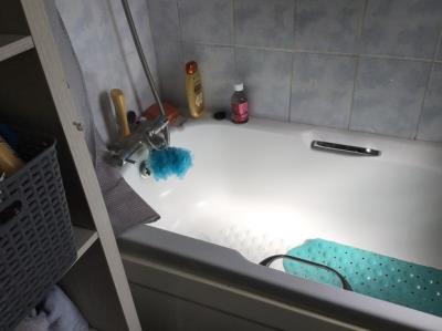 Bath with overhead shower