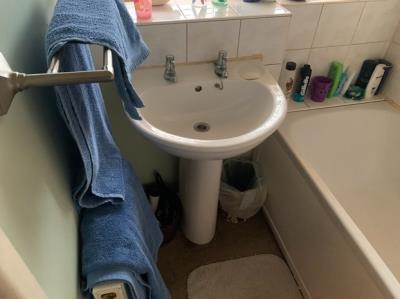 Bath with overhead shower