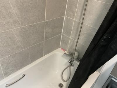 Bath with overhead shower
