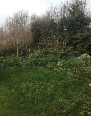 Private Garden