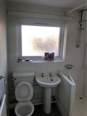 Shower with screens