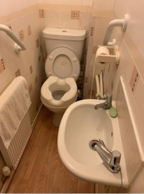 Downstairs toilet with sink