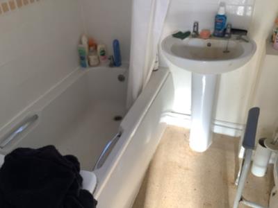 Bath with overhead shower