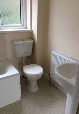 Bath with overhead shower