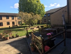 Communal Gardens